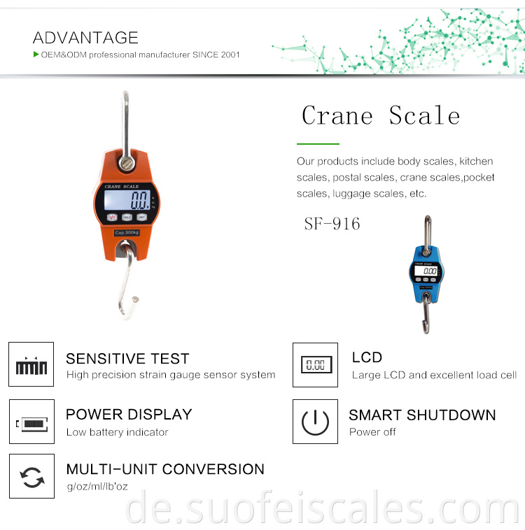 SF-916 Kleine digitale Kranhängeskala 300 kg 200 kg 100 kg Waage Scale OEM-Hersteller